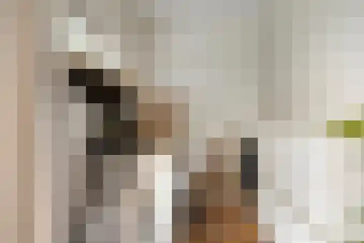 Zuiderstraat 9 Grolloo thumbnail 18