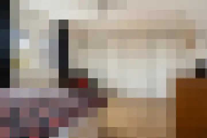 Zuiderstraat 9 Grolloo thumbnail 34