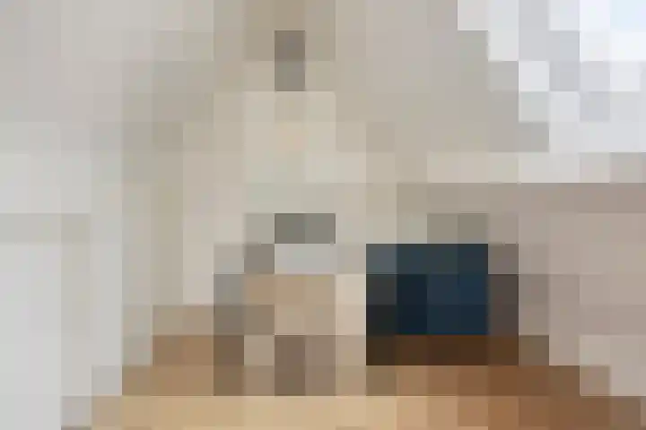 Zuiderstraat 9 Grolloo thumbnail 48