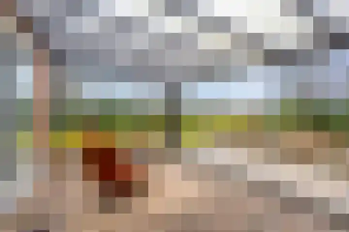 Zuiderstraat 9 Grolloo thumbnail 51