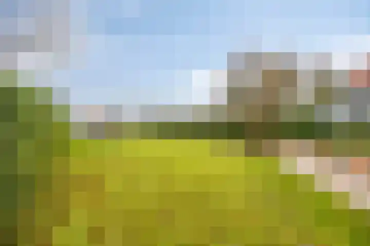 Zuiderstraat 9 Grolloo thumbnail 56
