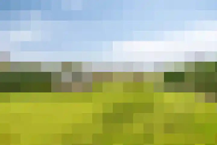 Zuiderstraat 9 Grolloo thumbnail 57