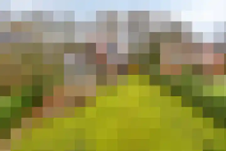 Zuiderstraat 9 Grolloo thumbnail 63