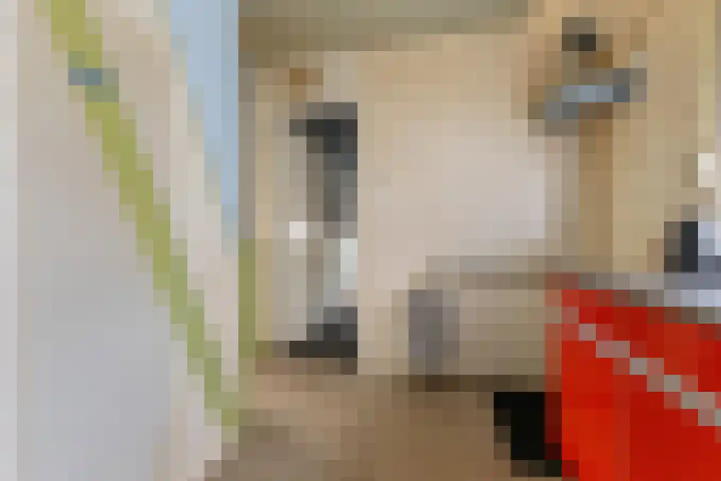 Zuiderstraat 9 Noordbroek thumbnail 15