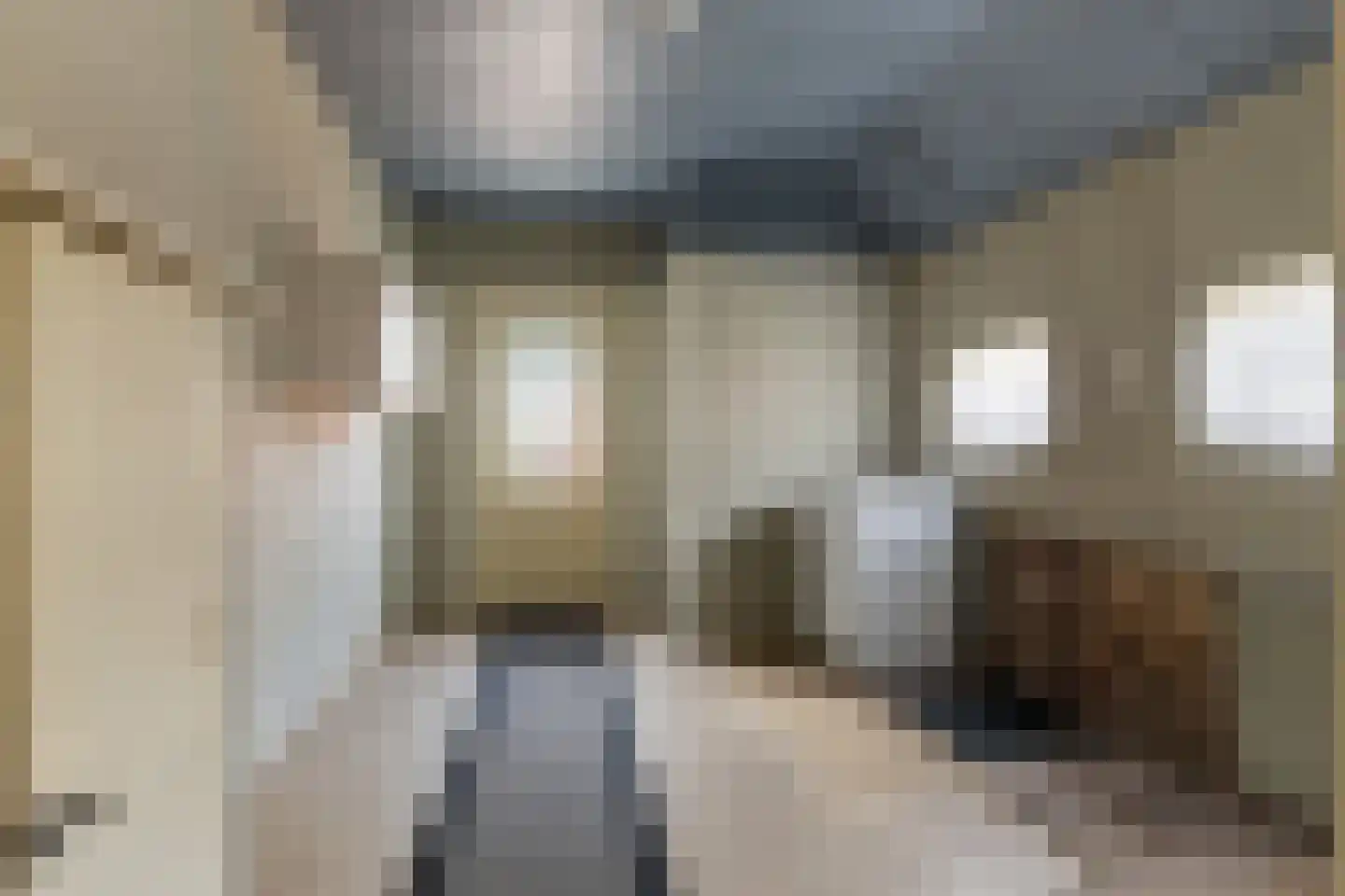 Zuiderstraat 9 Noordbroek thumbnail 20