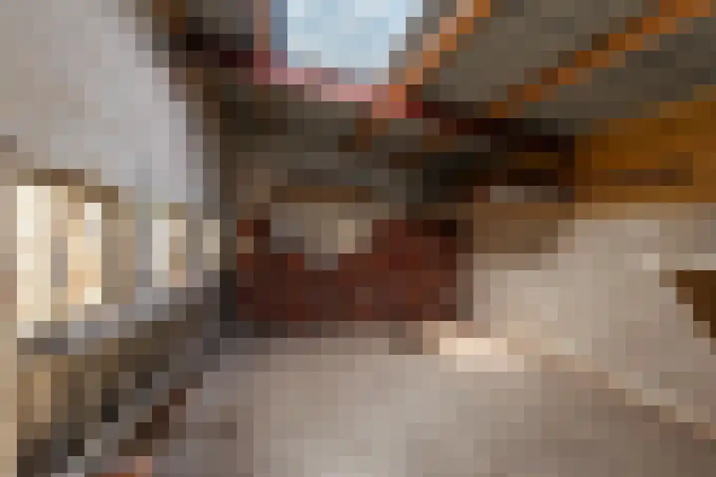 Zuiderstraat 9 Noordbroek thumbnail 33