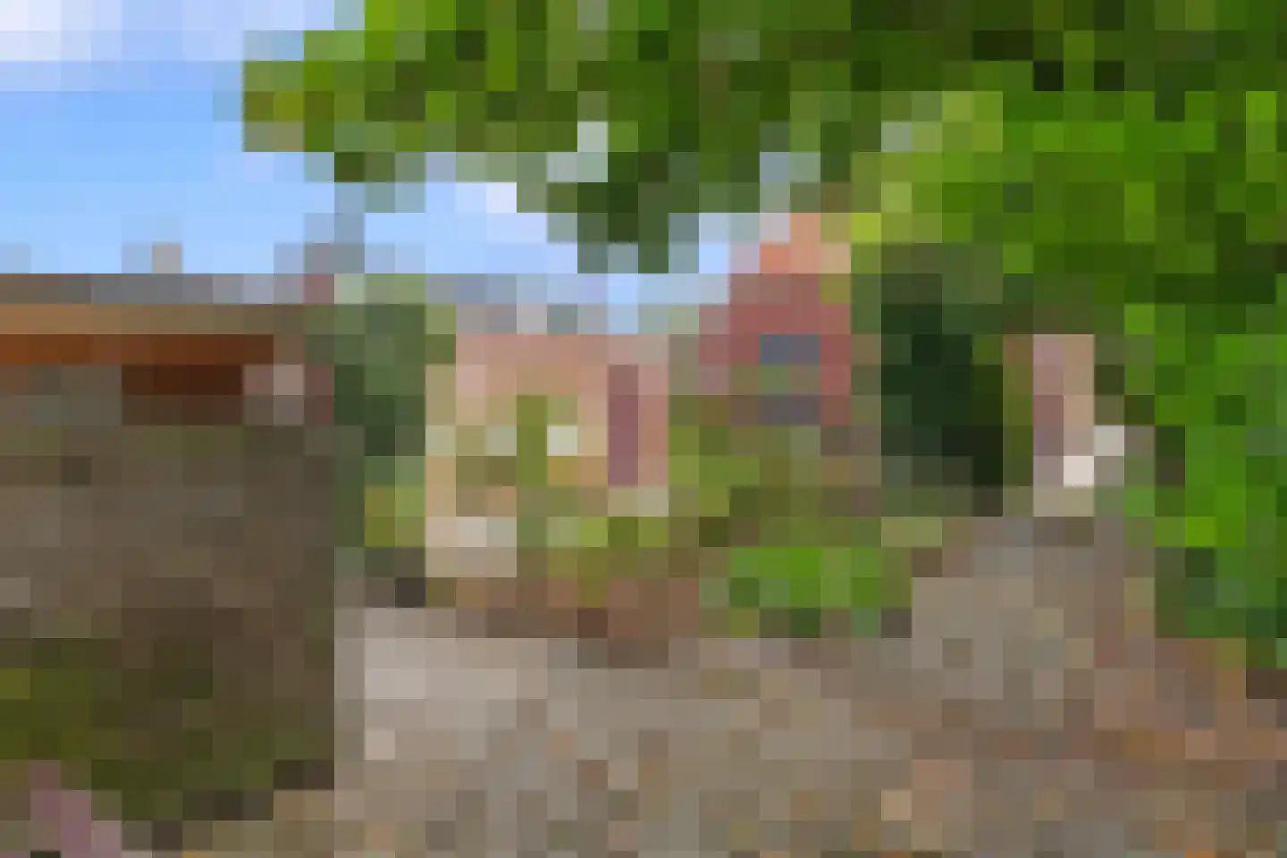 Zuiderstraat 9 Noordbroek thumbnail 34
