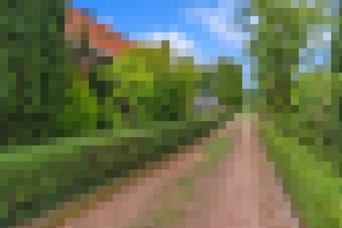Zuiderstraat 9 Noordbroek thumbnail 36