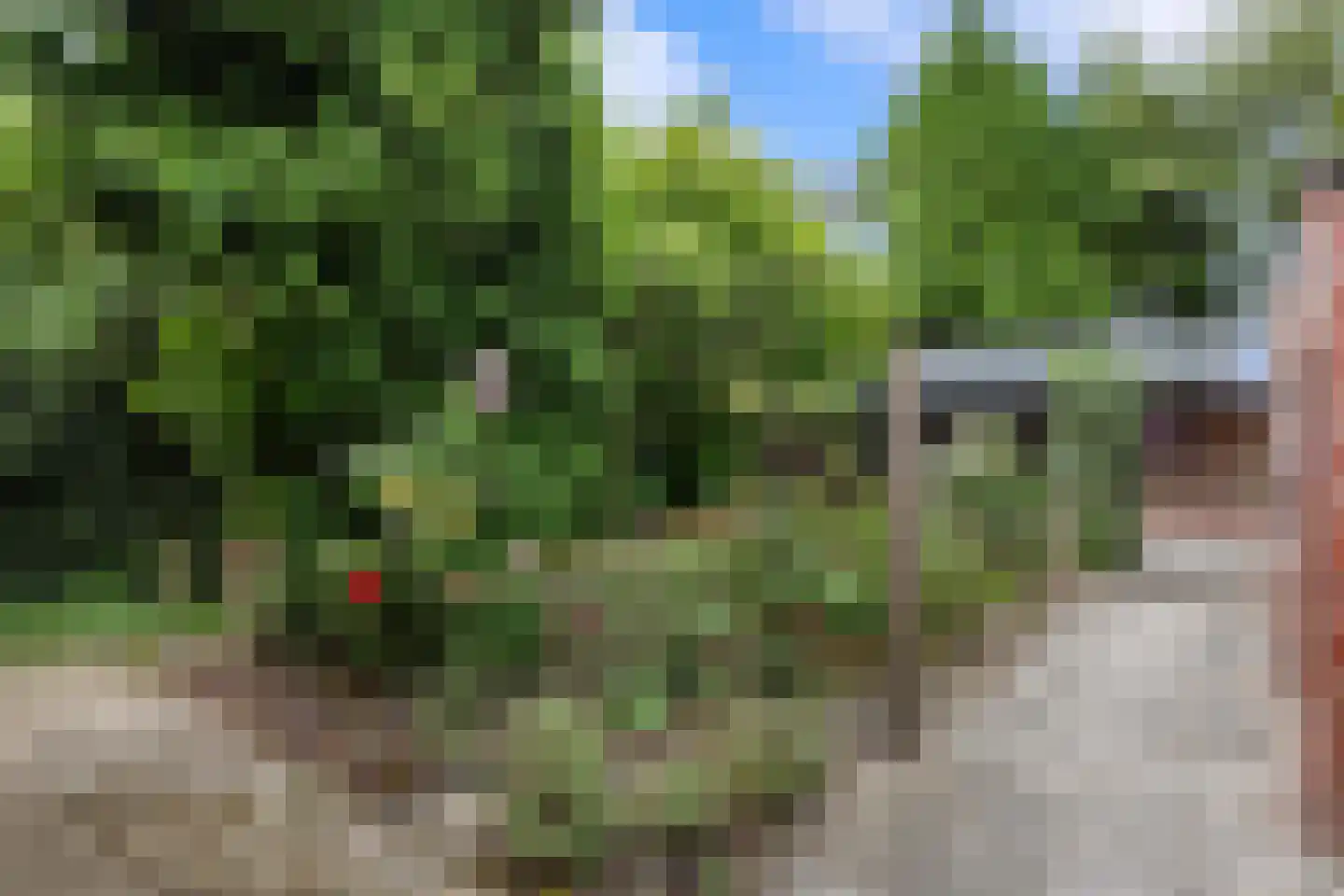 Zuiderstraat 9 Noordbroek thumbnail 39