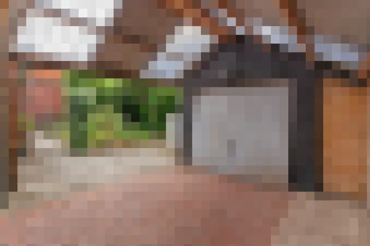 Zuiderstraat 9 Noordbroek thumbnail 4
