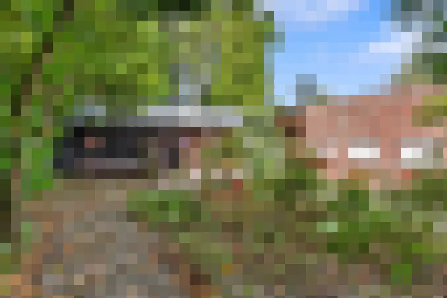 Zuiderstraat 9 Noordbroek thumbnail 40