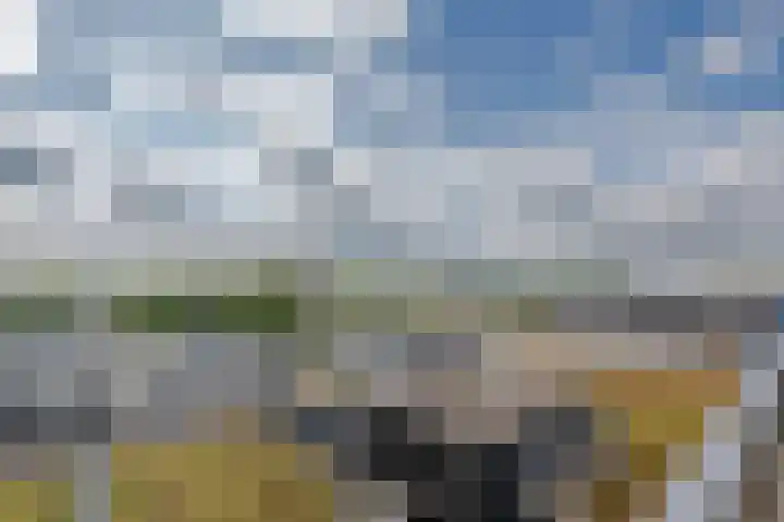 Zuiderterras 113 Rotterdam thumbnail 5