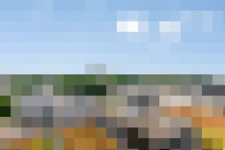 Zuiderterras 120 Rotterdam thumbnail 12
