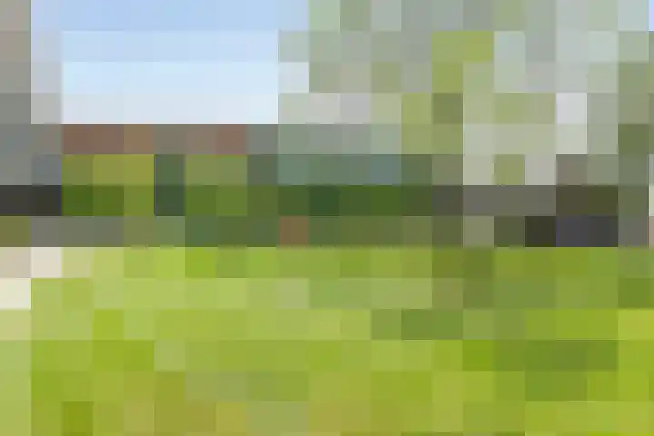 Zuiderterras 120 Rotterdam thumbnail 22