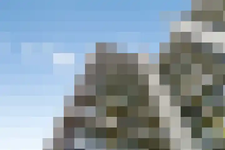 Zuiderterras 120 Rotterdam thumbnail 25