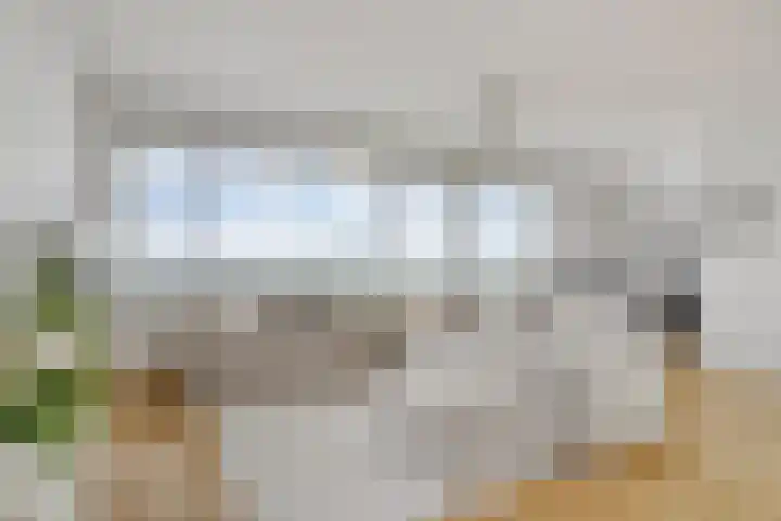 Zuiderterras 120 Rotterdam thumbnail 5