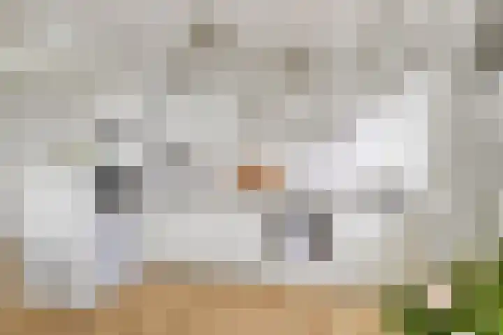 Zuiderterras 120 Rotterdam thumbnail 7