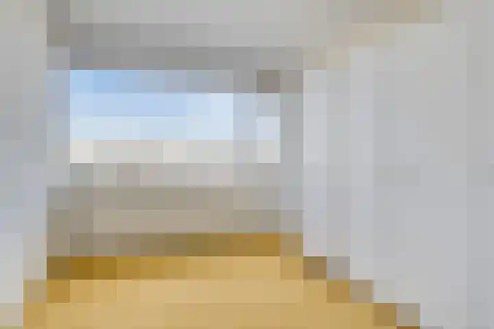 Zuiderterras 16 Rotterdam thumbnail 13