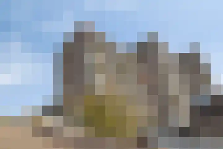 Zuiderterras 16 Rotterdam thumbnail 31