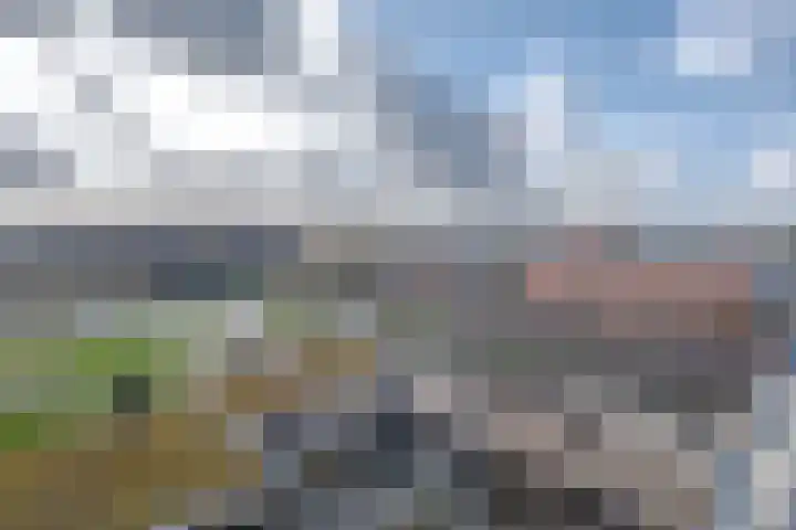 Zuiderterras 20 Rotterdam thumbnail 15