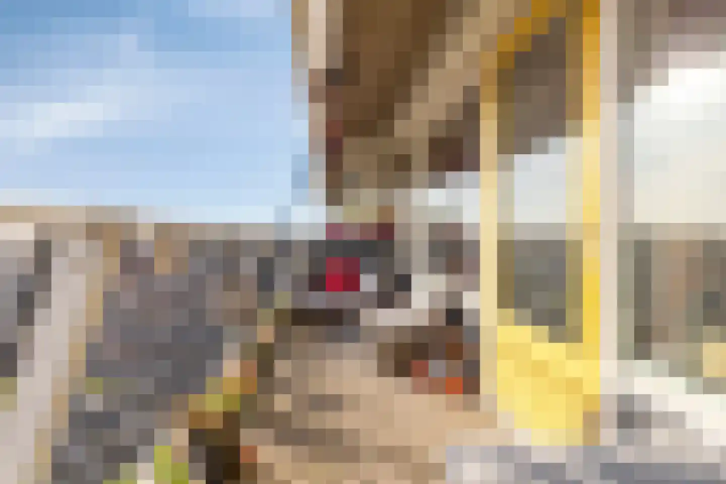 Zuiderterras 23 Rotterdam thumbnail 28