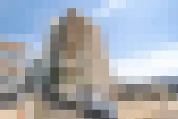 Zuiderterras 23 Rotterdam thumbnail 6
