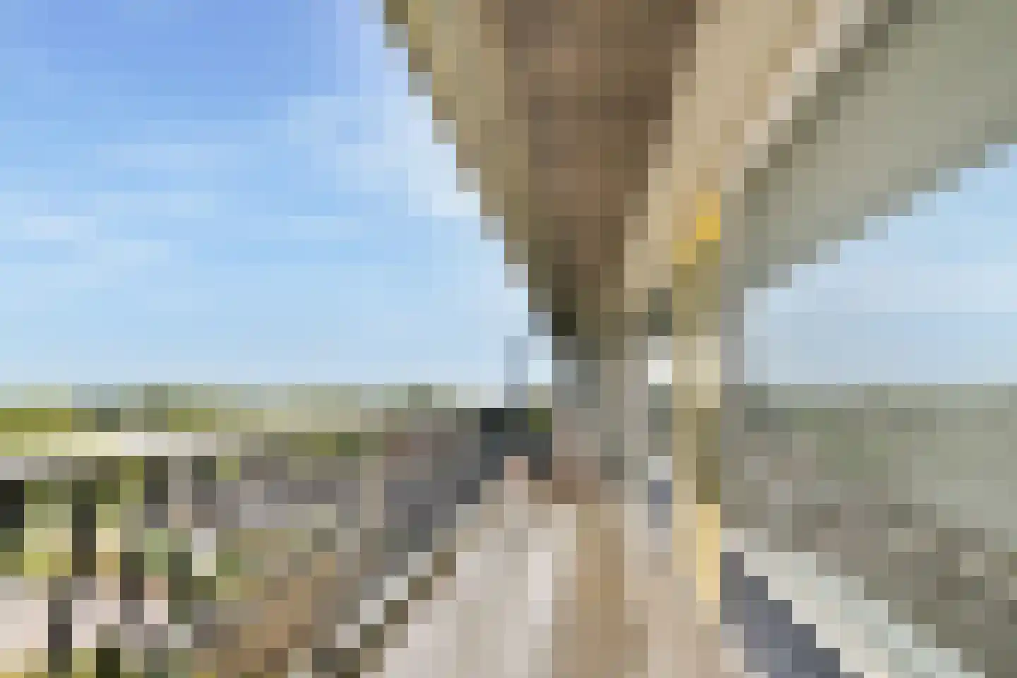 Zuiderterras 54 Rotterdam thumbnail 8
