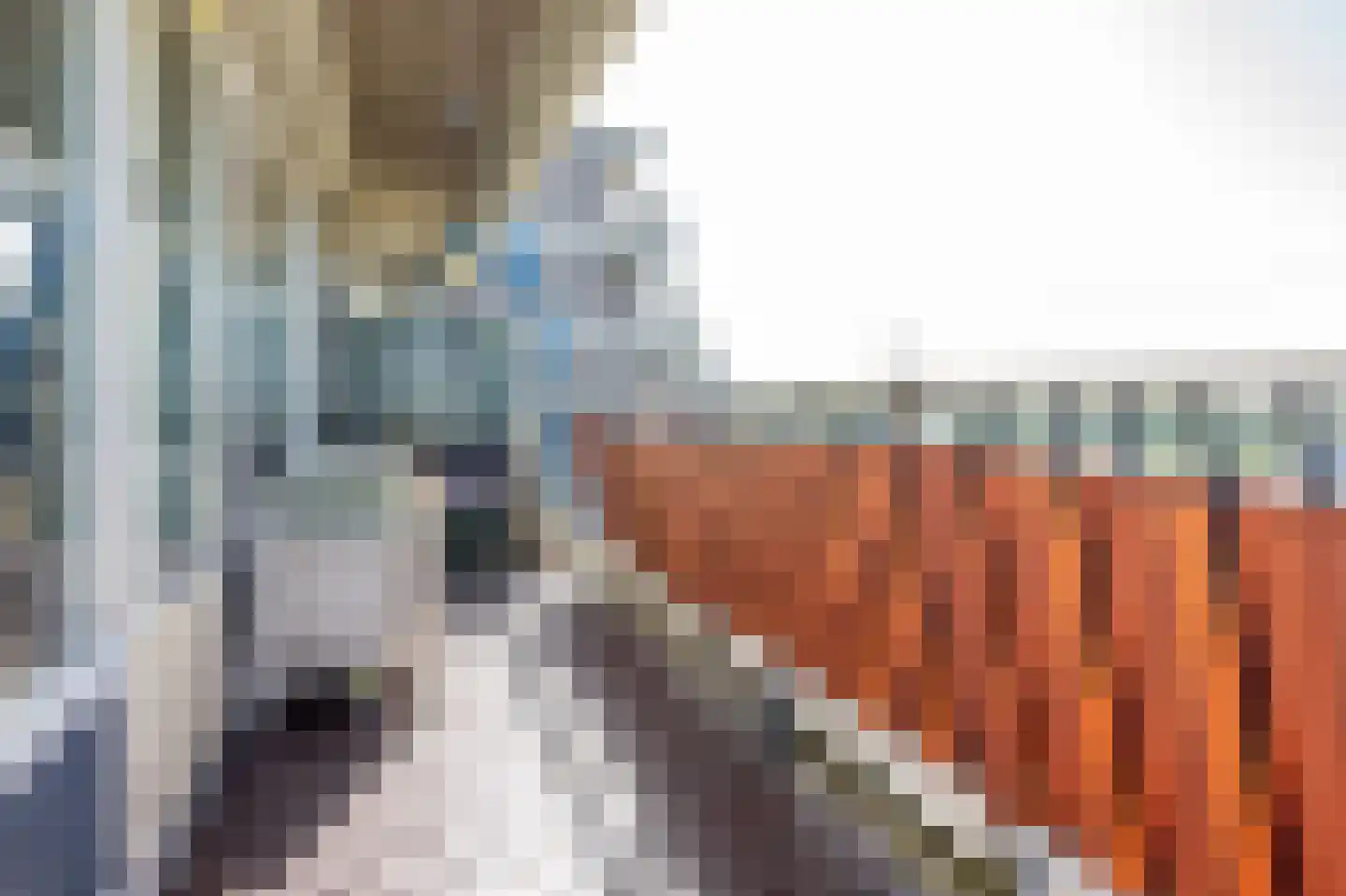 Zuiderterras 55 Rotterdam thumbnail 18