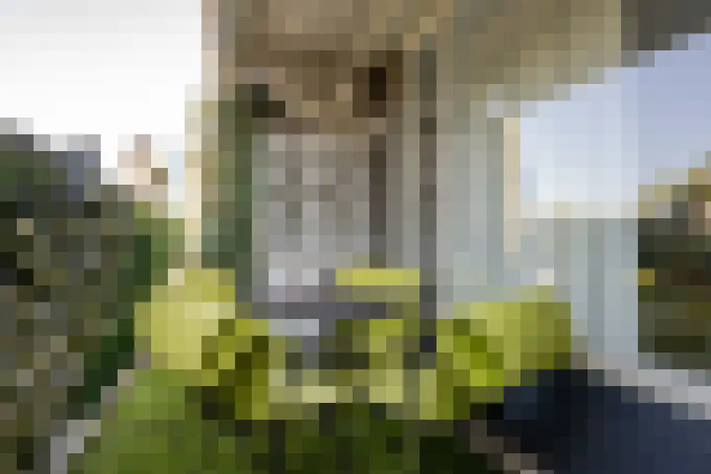 Zuiderterras 66 Rotterdam thumbnail 30