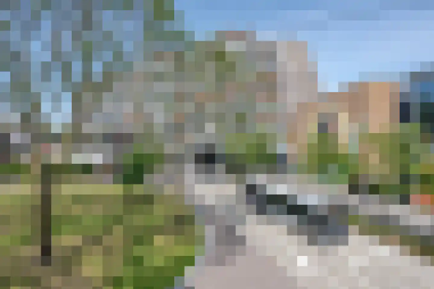 Zuiderterras 66 Rotterdam thumbnail 38