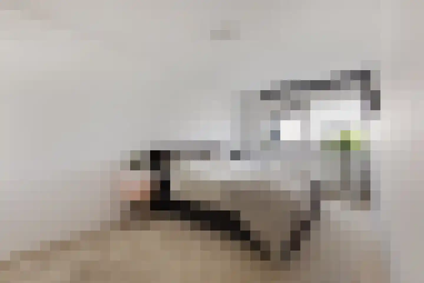Zuidertoren 11 Hoofddorp thumbnail 12