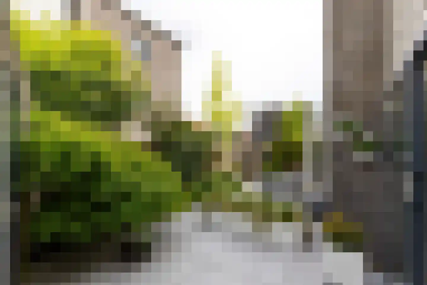 Zuidertoren 11 Hoofddorp thumbnail 19