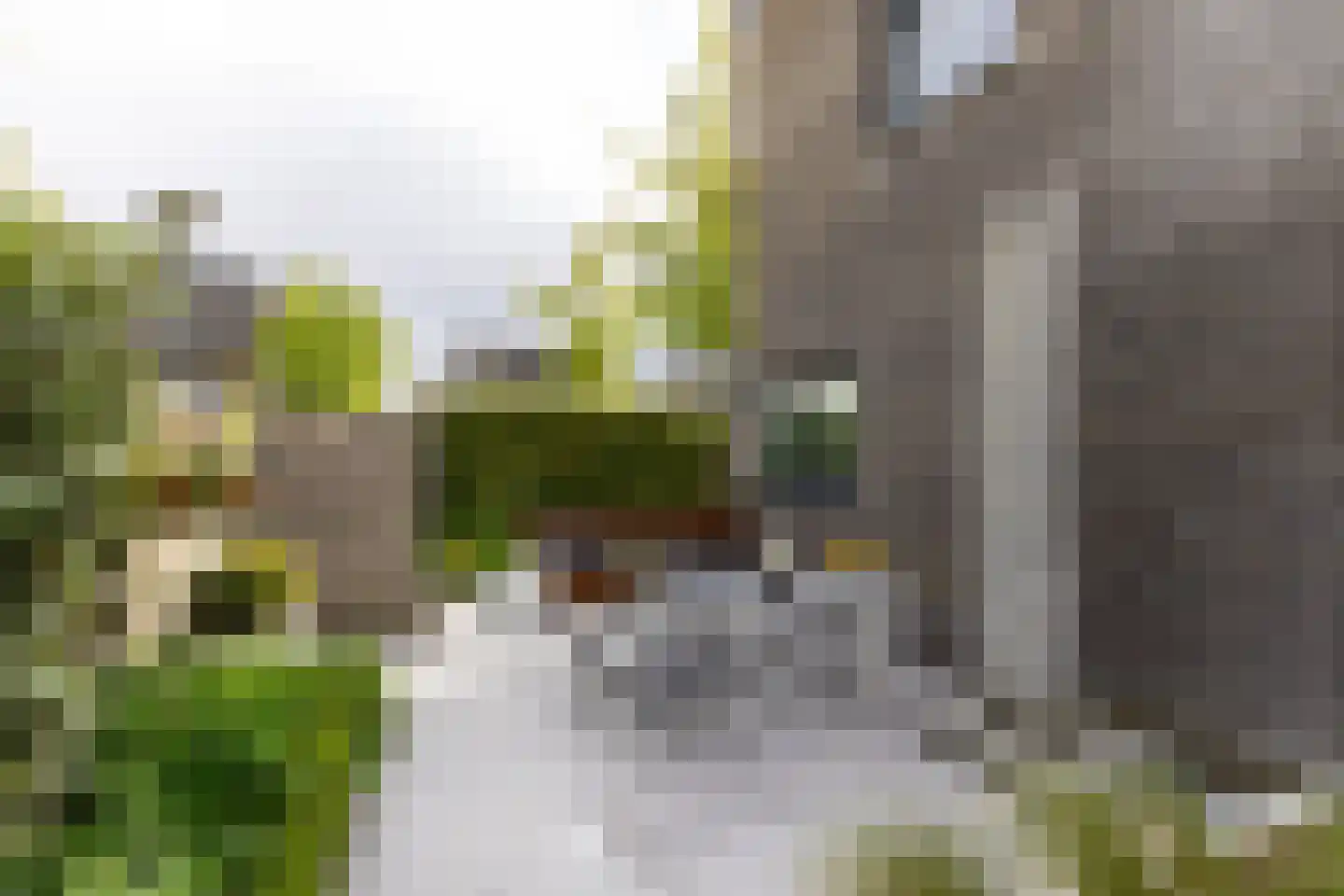 Zuidertoren 11 Hoofddorp thumbnail 20