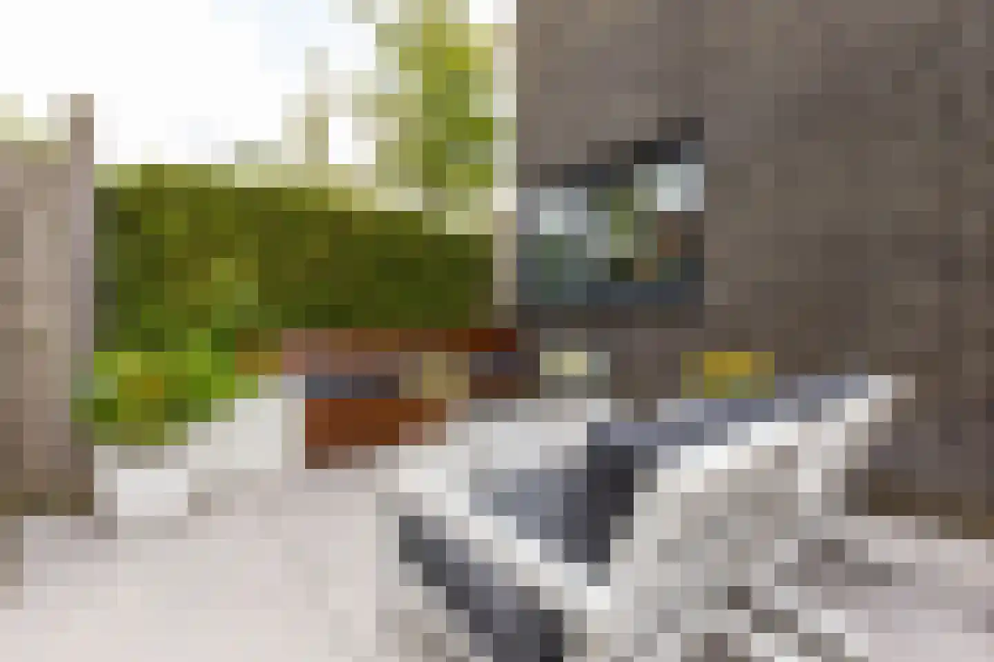 Zuidertoren 11 Hoofddorp thumbnail 22
