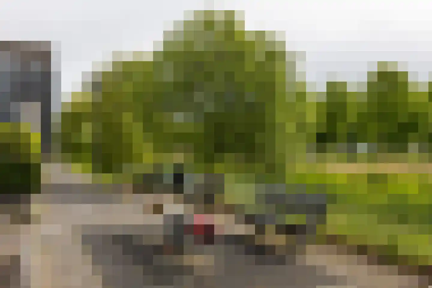 Zuidertoren 11 Hoofddorp thumbnail 30