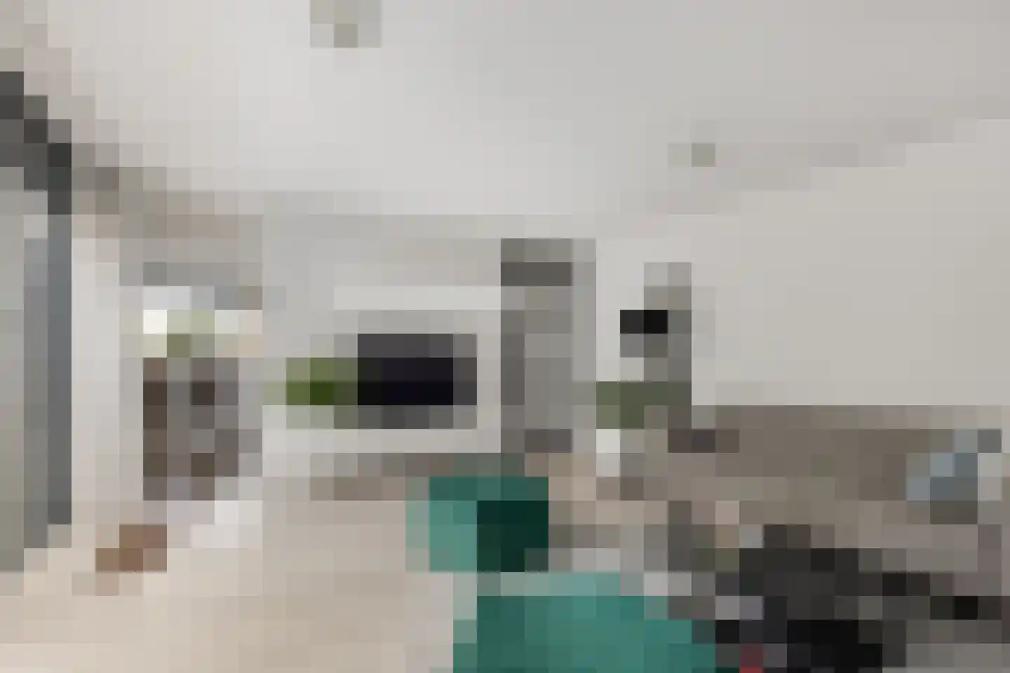 Zuidertoren 11 Hoofddorp thumbnail 5