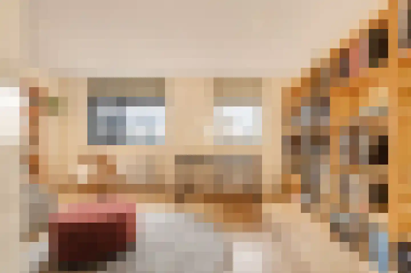 Zuidertoren 35 Hoofddorp thumbnail 22