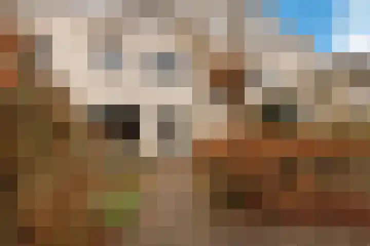 Zuidertoren 35 Hoofddorp thumbnail 33