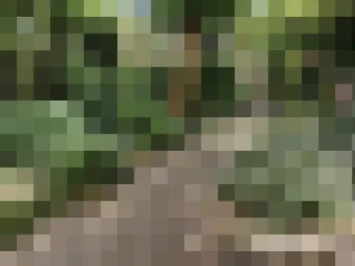 Zuidertoren 35 Hoofddorp thumbnail 34