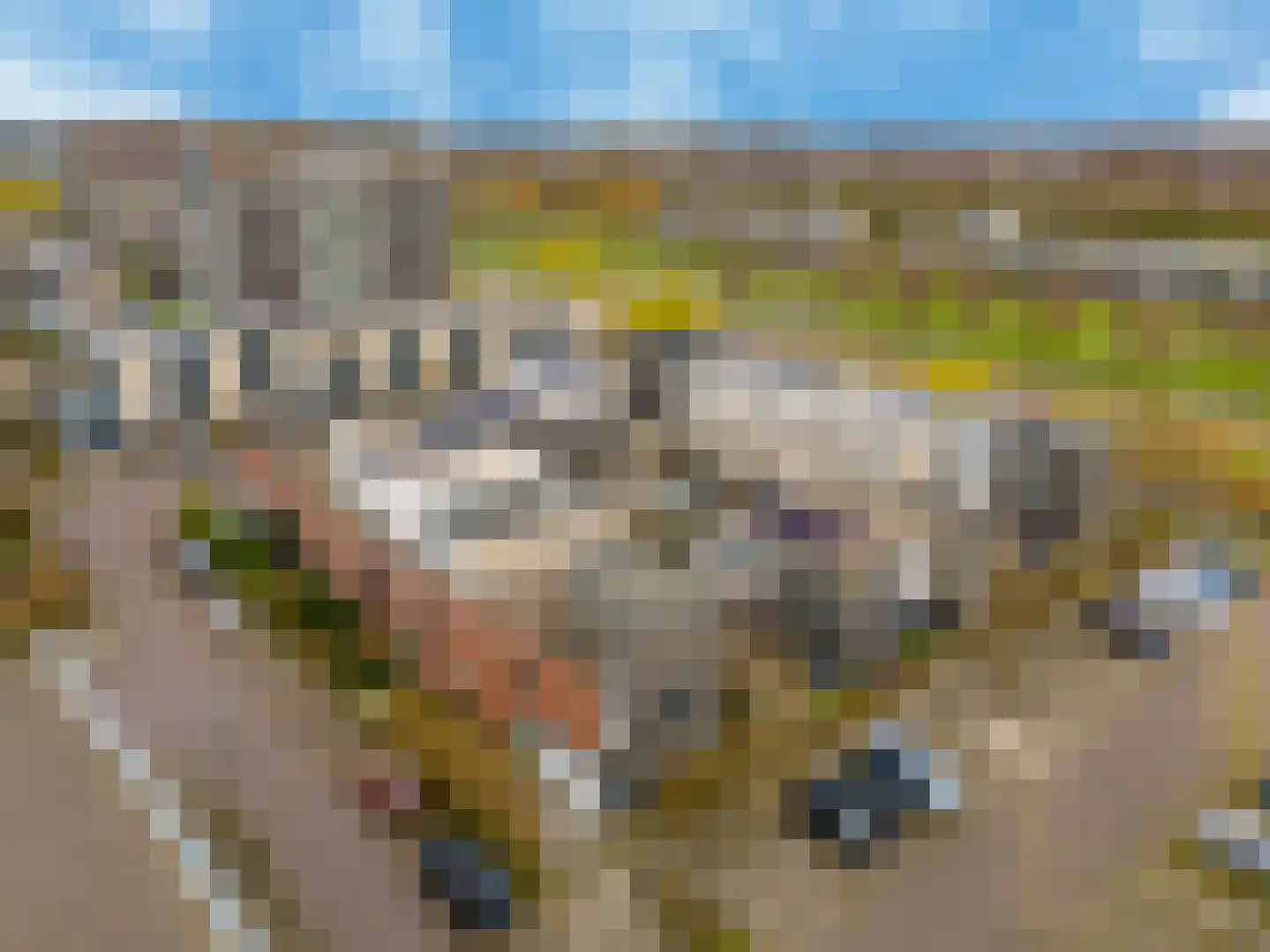 Zuidertoren 35 Hoofddorp thumbnail 38