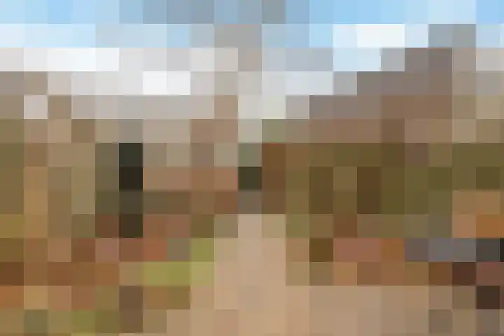 Zuidertoren 35 Hoofddorp thumbnail 6