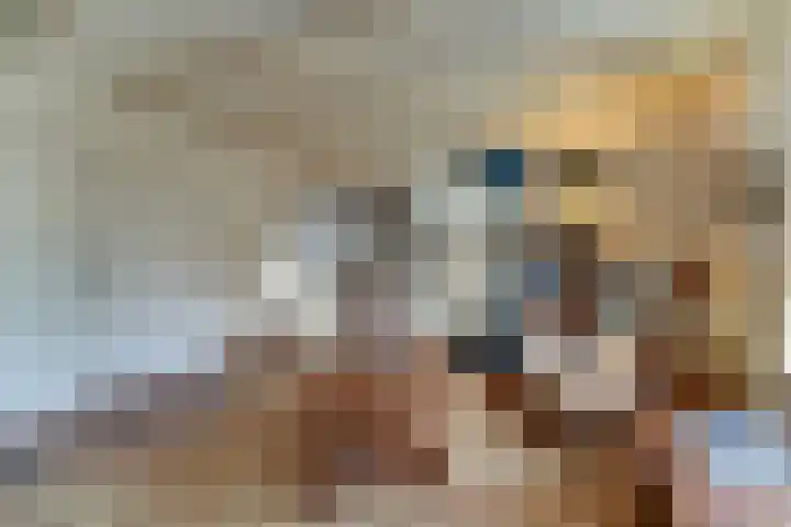 Zuideruitweg 30 Wijdenes thumbnail 11