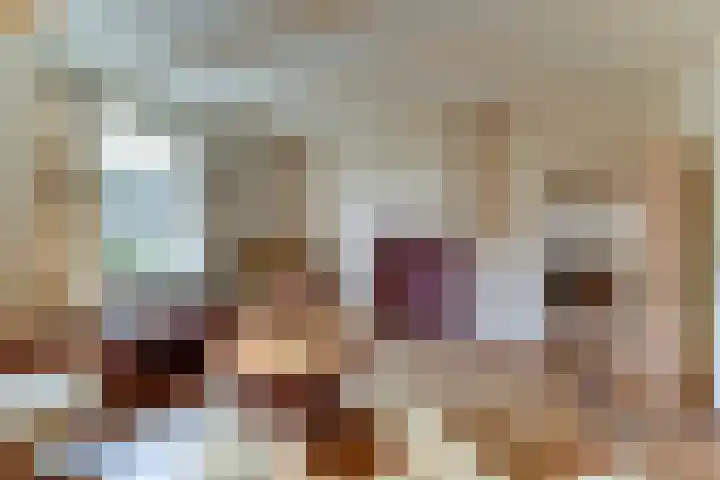 Zuideruitweg 30 Wijdenes thumbnail 12