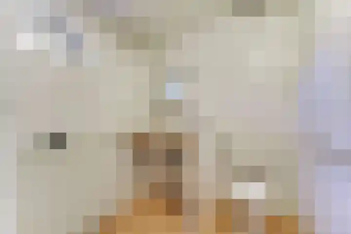 Zuideruitweg 30 Wijdenes thumbnail 20