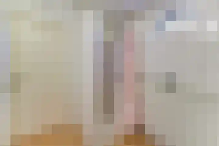 Zuideruitweg 30 Wijdenes thumbnail 21