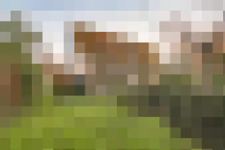 Zuideruitweg 30 Wijdenes thumbnail 24