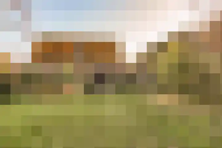 Zuideruitweg 30 Wijdenes thumbnail 25