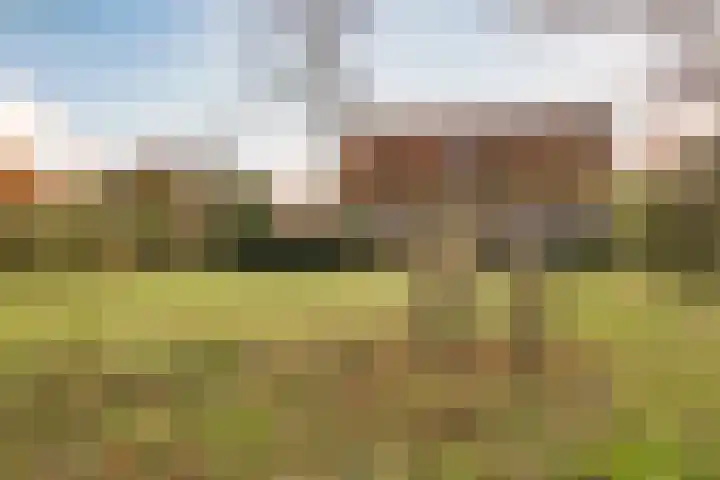 Zuideruitweg 30 Wijdenes thumbnail 26