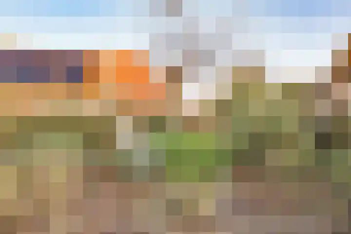 Zuideruitweg 30 Wijdenes thumbnail 27