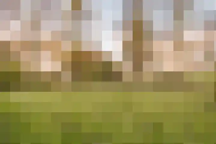 Zuideruitweg 30 Wijdenes thumbnail 30